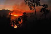 14 Titik Api Muncul Lagi di Riau
